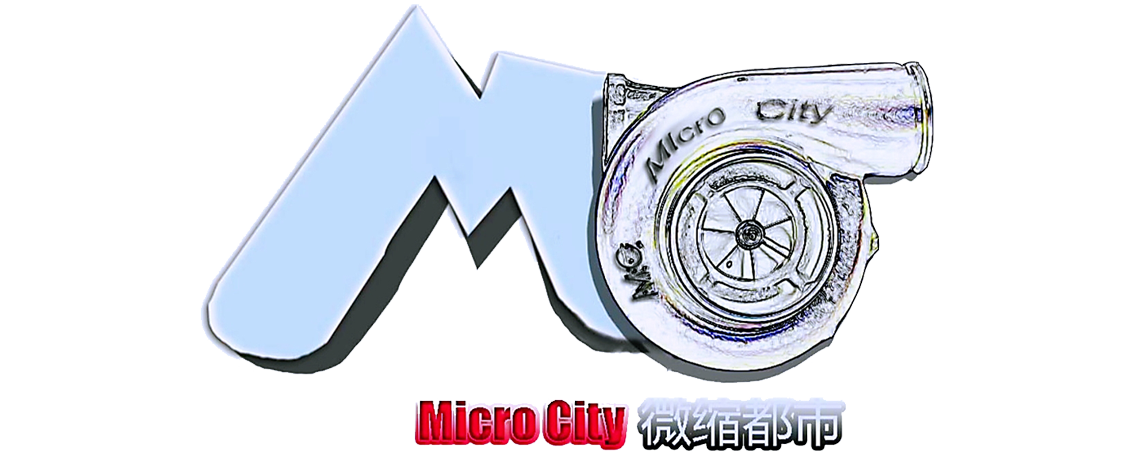 Microcity model